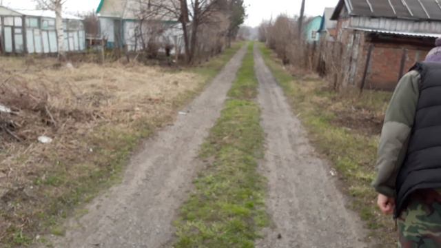 Команда ко мне с раздражителями . Пудель карликовый. смотреть онлайн