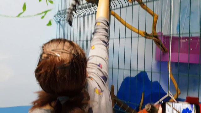 Контактная SлаSтена в контактном зоопарке) смотреть онлайн