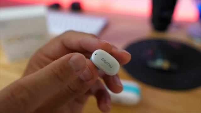 App Controlled Pamu Z1 Wireless Active Noise Cancelling Earbuds смотреть онлайн
