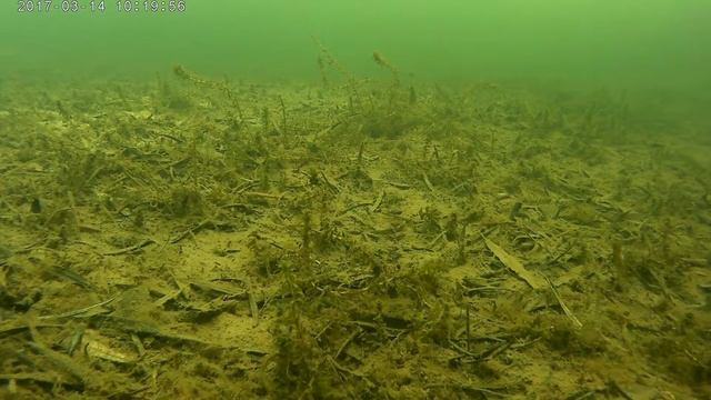 Рыба есть но не клюёт! Подлёдная съёмка экшэн камерой... смотреть онлайн