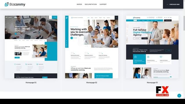 Bizconmy - Business and Consulting WordPress Theme company marketing Karin смотреть онлайн