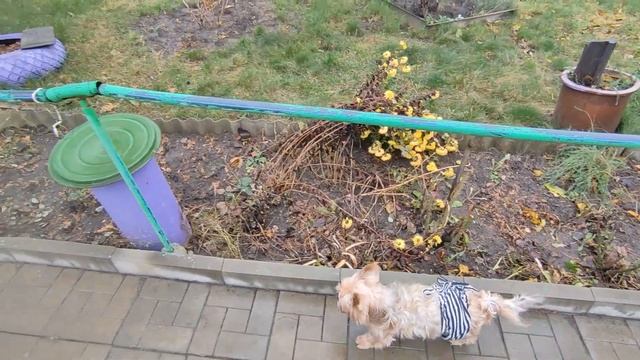 Славянск 17 ноября 2023 день сегодня смотреть онлайн