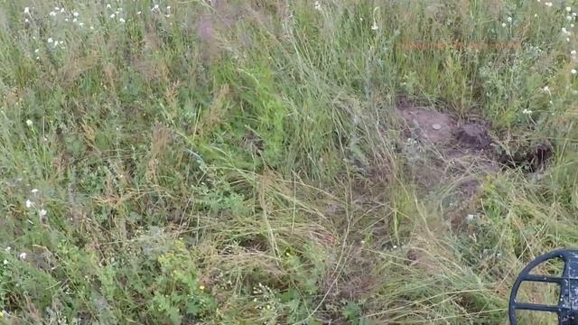 Поиск монет Беркут 5 и DEUS деревня А смотреть онлайн