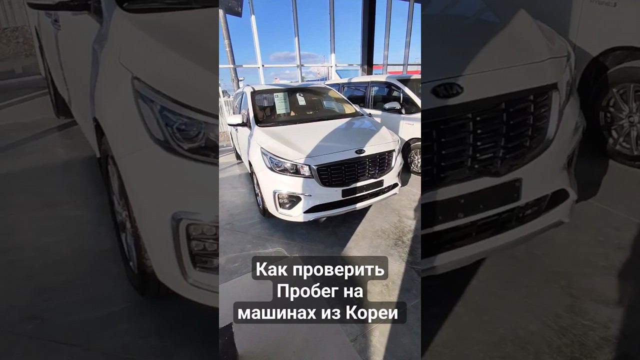 Киа Карнивал проверяем пробег. #артемзайцев #автоподборкраснодар смотреть онлайн