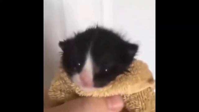 скример 1 смотреть онлайн