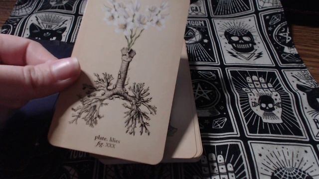 Memento Mori Oracle by Claire Goodchild смотреть онлайн