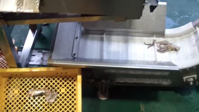 Машина для переработки (разделки) кальмара. Отделение щупалец и тушки. Производство Chamco Ю Корея смотреть онлайн