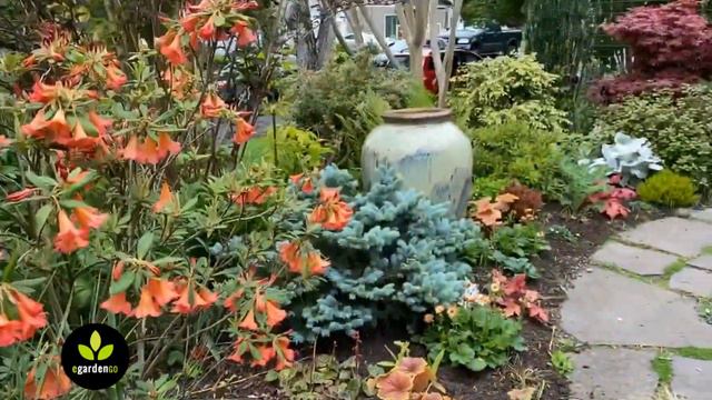From My Garden to Yours 🌿 May 1, 2020 смотреть онлайн