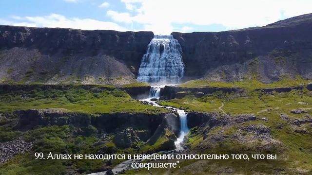 Красивое чтение корана на фоне природы | Сура «Семейство Имрана» | Абу Аус смотреть онлайн