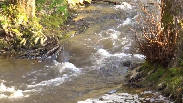 SONY HX60 - Test : Water flow смотреть онлайн
