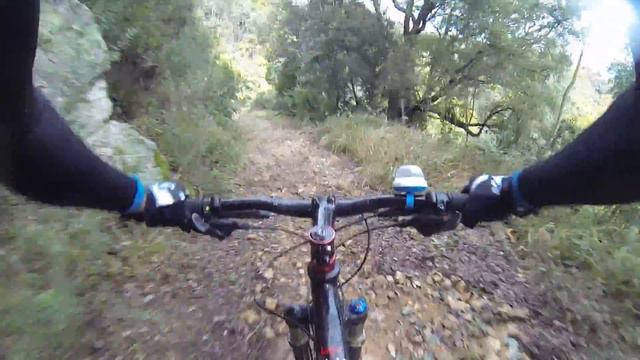 Riding the Mimosa countryside смотреть онлайн
