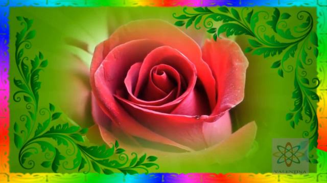 С ДНЕМ РОЖДЕНИЯ ! смотреть онлайн