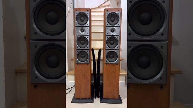 Pioneer S-H509V งานเบลเยี่ยม_SoundEat Test (ราคา 5,500 บาท) смотреть онлайн