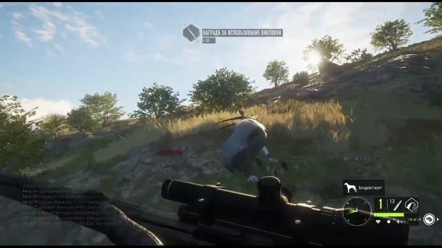 theHunter: Call of the Wild - Саванна Вурхонга (Африканский Буйвол, Орикс, Спрингбок, Бородавочник) смотреть онлайн