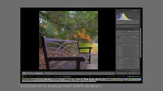Fujifilm XPro3 Sample Photos смотреть онлайн