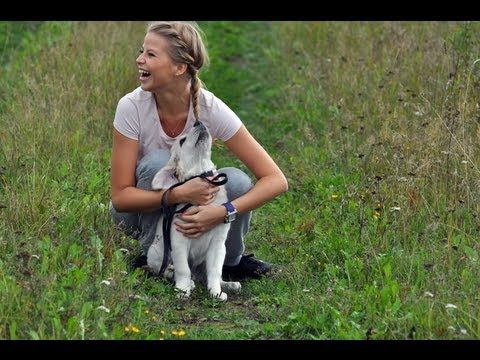 OOTD На Даче и Наши Собачки, Знакомьтесь