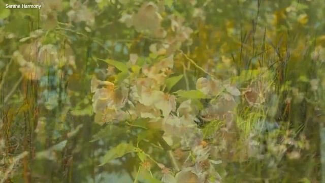 Успокаивающая музыка для нервов ? лечебная музыка для сердца и сосудов, релакс, музыка для души #41 смотреть онлайн