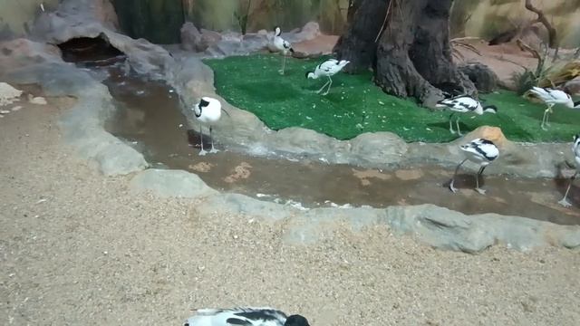 5 мая 2023 г. смотреть онлайн