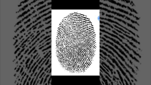 Finger print SI Nature of duty смотреть онлайн