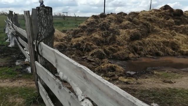 6 мая 2020 г.КАК ОНИ МЕНЯ ДОСТАЛИ! смотреть онлайн