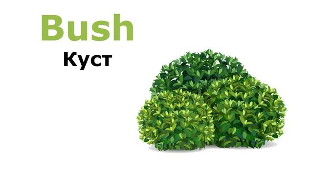 Учим английский. Растения. Plants. Учим название растений на английском. смотреть онлайн