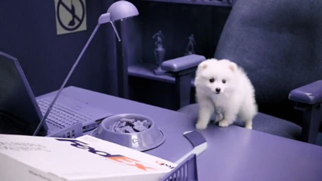 Принцип хорошей почты смотреть онлайн