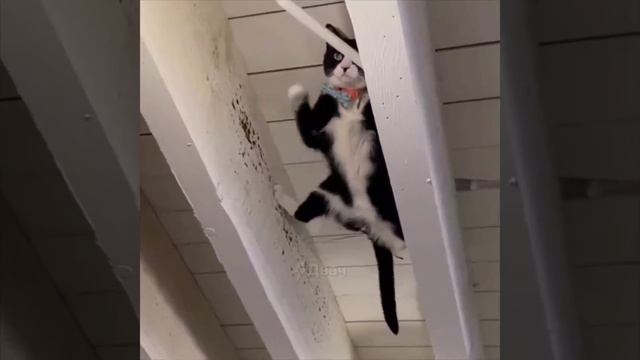 Миссия невыполнима смотреть онлайн