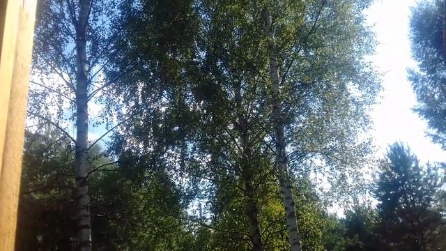 1 Августа - Ламмас, день Силы! смотреть онлайн