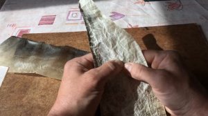 Выделываем рыбью кожу