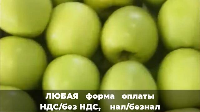 Сорт яблок Голден смотреть онлайн