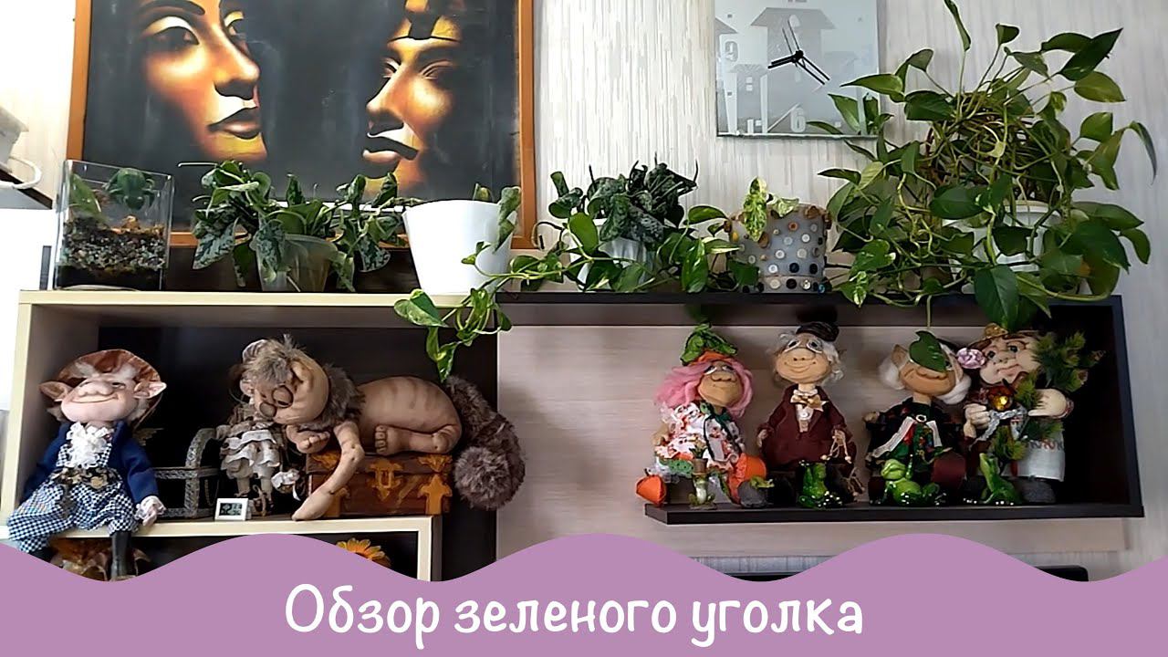 Комнатный садик. Домашние растения. 4ч смотреть онлайн