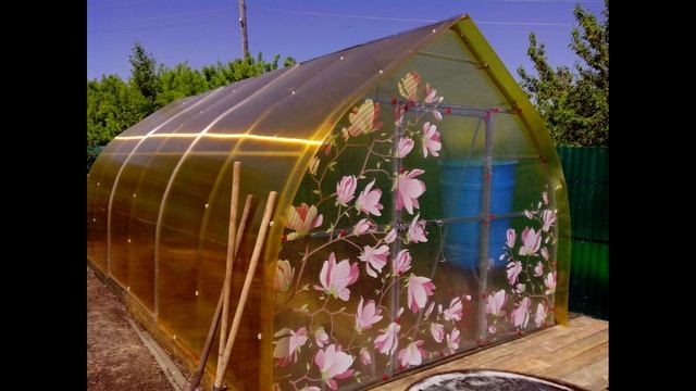 Какого цвета поликарбонат лучше использовать для теплицы