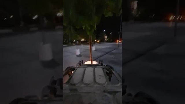 Как на Соборной площади в Николаеве появились деревья в кадках (19.09.2020) смотреть онлайн