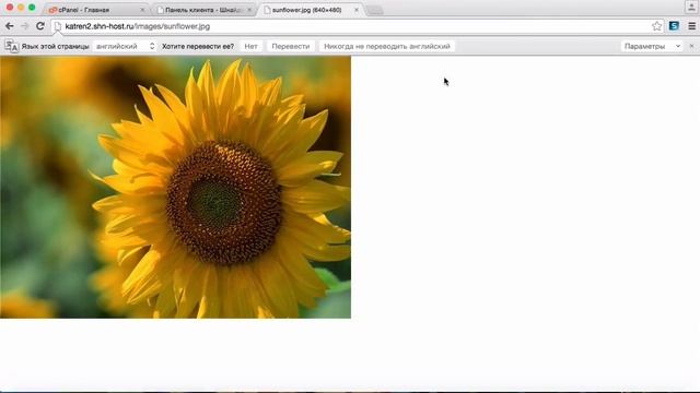 Настройка FTP клиента Filezilla. Как залить сайт на хостинг по FTP