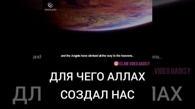 ЧЕЧЕНСКИЙ БЕДУИН, МЫСЛЬ О КОТОРОМ ДОЛЖЕН ИМЕТЬ КАЖДЫЙ ЧЕЧЕНЕЦ КАК ТОТ КАТАРСКИЙ БЕДУИН(11) смотреть онлайн