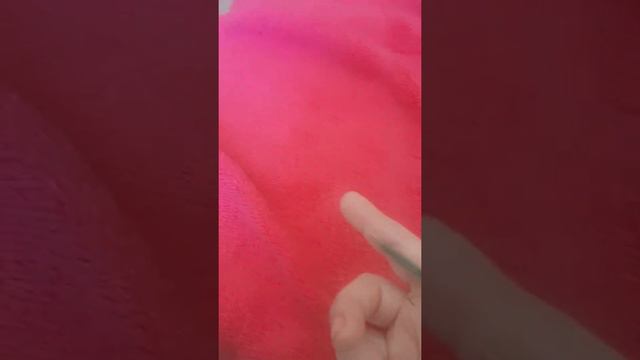 Палочник очень странно себя ведёт смотреть онлайн