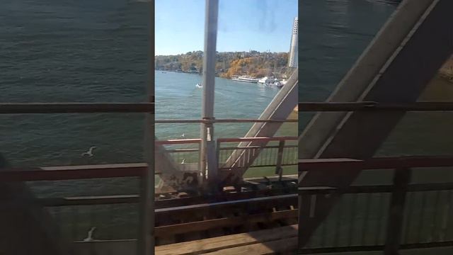 Приезжаем через реку Дон на поезде. #рекомендации #ростов #рекадон смотреть онлайн