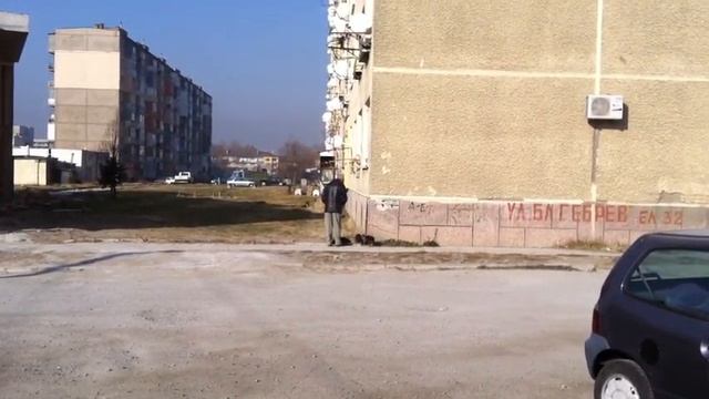 Малките кученца - големият проблем на Перник смотреть онлайн