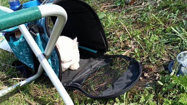 Зефир Кефирович на рыбалке