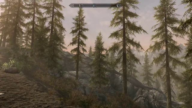 The Elder Scrolls V Skyrim Special Edition tree animation смотреть онлайн
