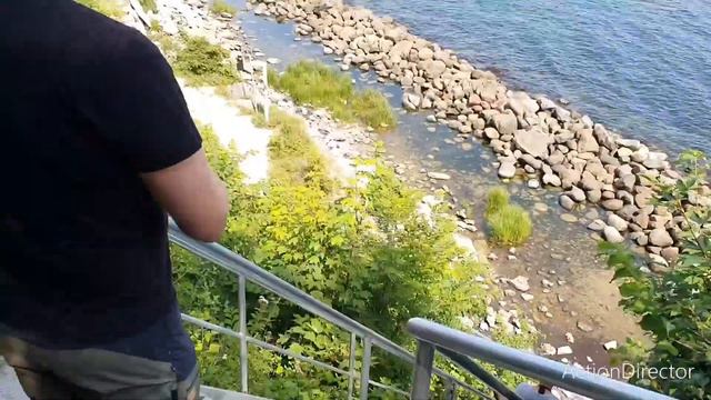 Fossil Hunting Denmark! (Part.1) смотреть онлайн
