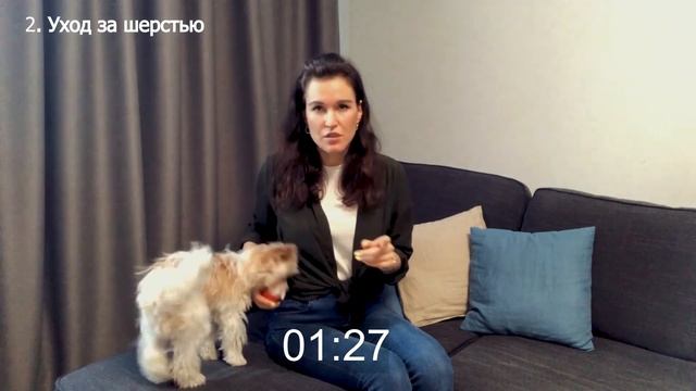 ВСЕ МИНУСЫ ЙОРКШИРСКИХ ТЕРЬЕРОВ ЗА 2 МИНУТЫ! - какие минусы у Йорков??