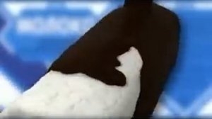 "Коровка из Кореновки" (реклама сырка)