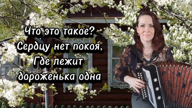 "Под окном широким..." Караоке под гармонь... смотреть онлайн