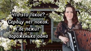 "Под окном широким..." Караоке под гармонь...