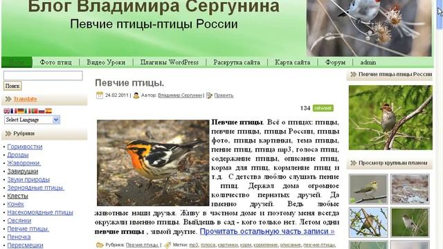 Кнопки для Wordpress. смотреть онлайн