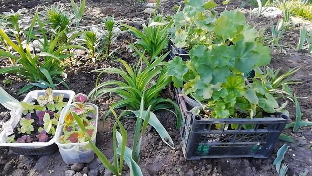 СтройЗаказчик