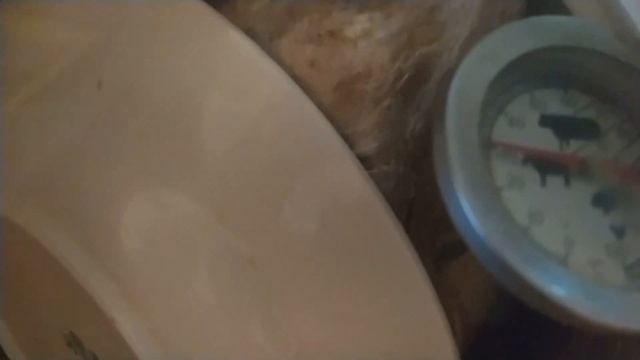 Утка варено-копчёная смотреть онлайн