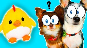 Распаковка подарков из разных стран для Волшебных питомцев 🌎🎁