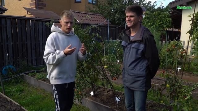 Два сорта томатов, которые все захотят посадить в следующем году. смотреть онлайн
